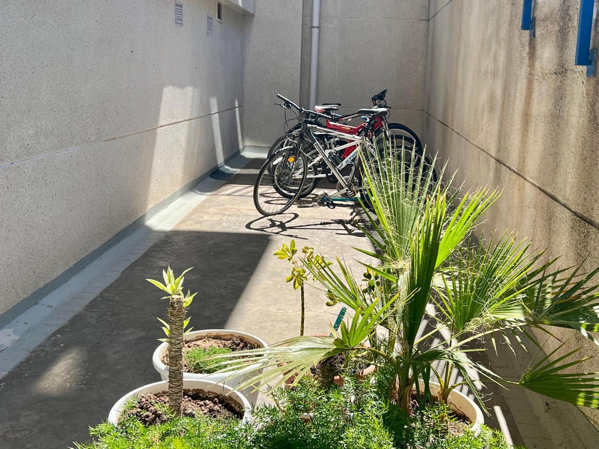 Vistahermosa 22 貝尼多姆 外观 照片