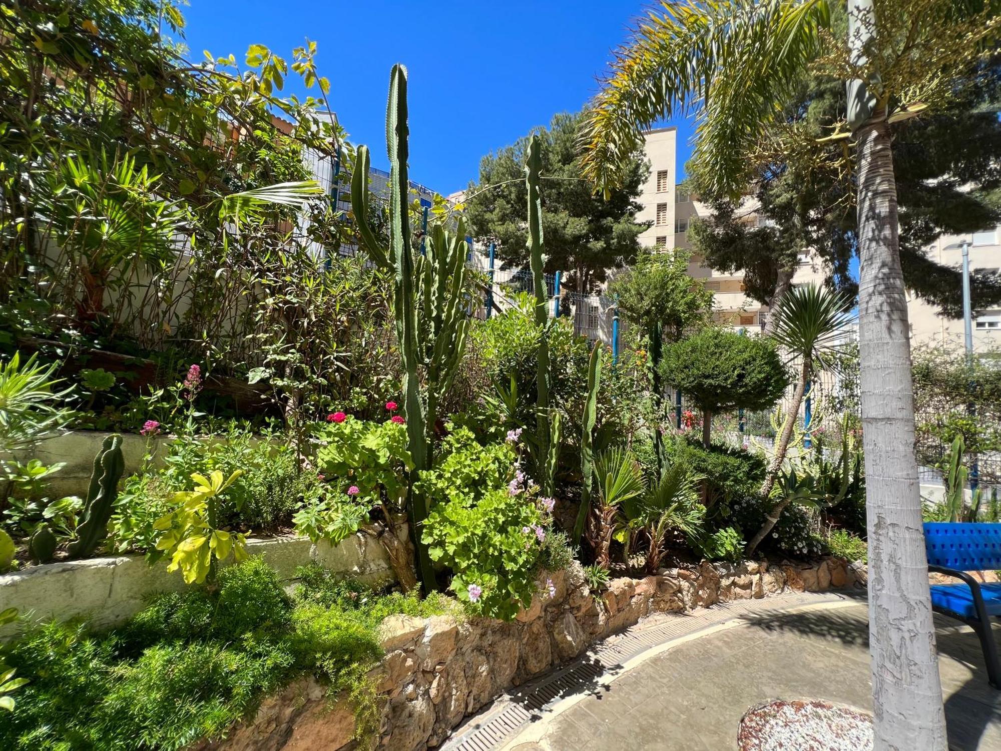 Vistahermosa 22 貝尼多姆 外观 照片